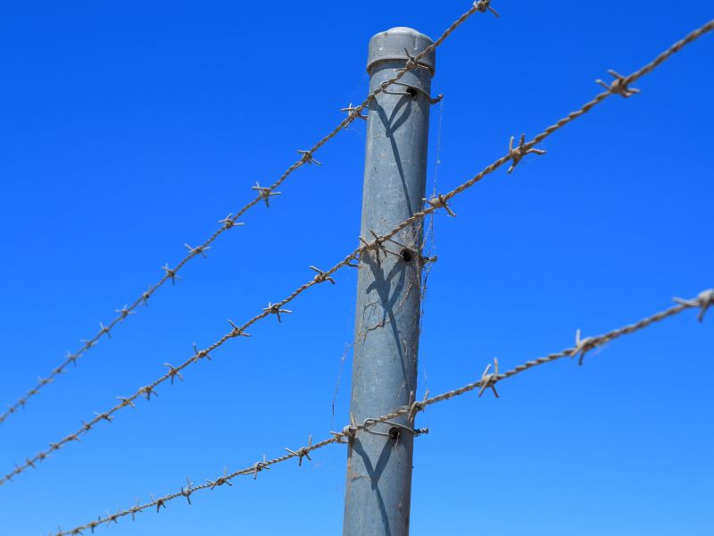 Barbed Wire Fence Installation detail